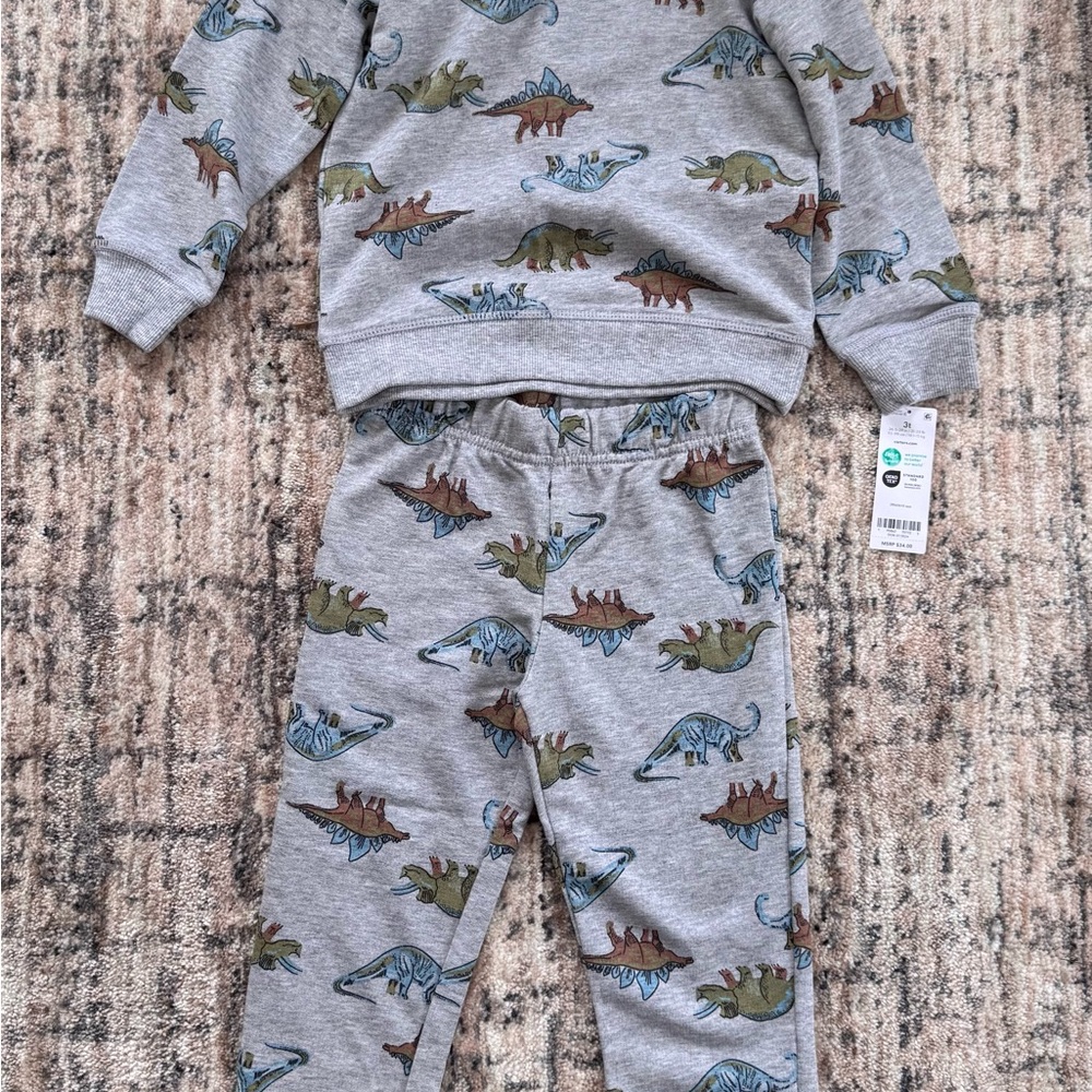 Carter's Gray Dinosaur Print Toddler Set